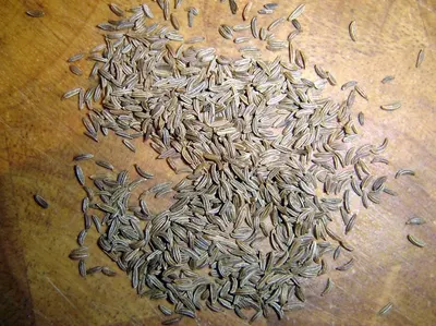 Cumin Seeds