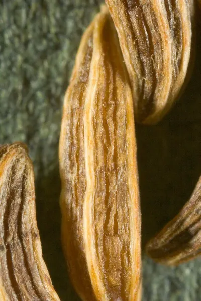 Banana Chips Or Plantain Chips