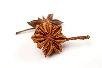 Cardamom Powder and Seed
