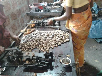 Salt Tablet Press