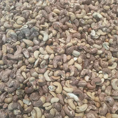 Cashew Nuts