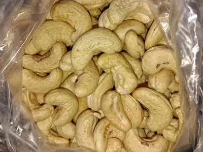 Roasted Wasabi Cashew (50gr)