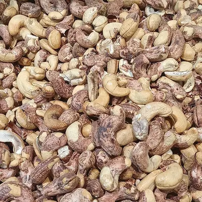 Roasted Salt Cashew With Husk