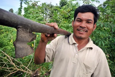 Fresh Cassava