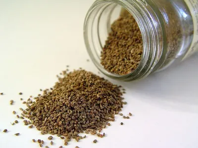 Psyllium seed