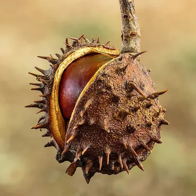 Spring balancer by Jaycee Engineers