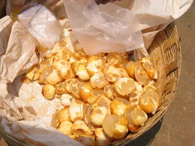 Popcorn