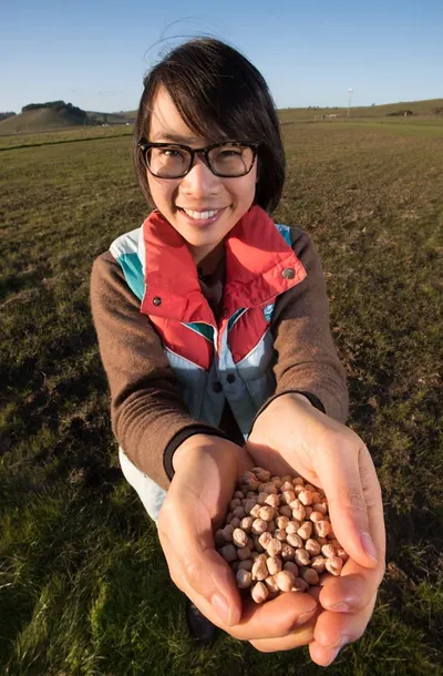 Chickpeas