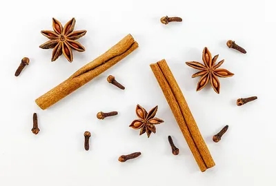 Celon Cinnamon Stick by Nipun Exporters
