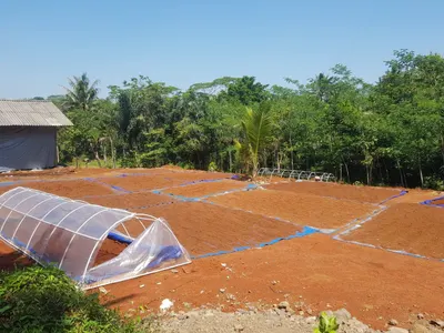 500 Seater Luxury Party Transparent Tent
