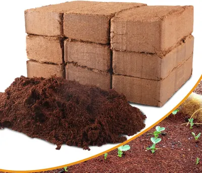 Cocopeat Growbags