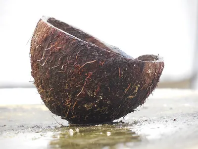 Taro by Timson Fresh produce Lyd