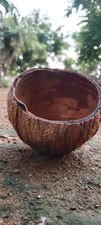 Areca Leaf Round Bowl