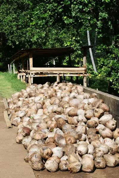 White Copra Edible