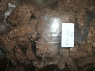 Edible Copra