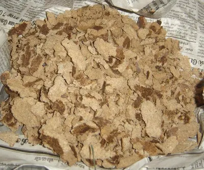 Copra