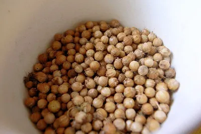 Chana (Chickpeas) Straw
