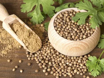 Irs coriander seeds powder