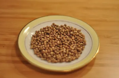 White Pepper / Pepper Nigrum