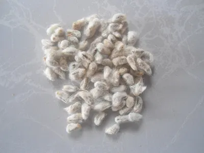 Soft PVC Regrind White and Beige by 2lians Pte. Ltd.