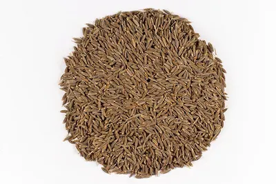 Cumin Seeds