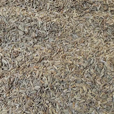 PINE WOOD CHIPS