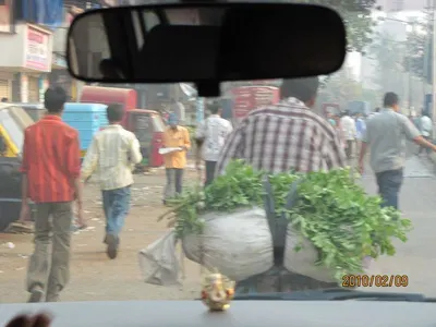 Small Elephant Car