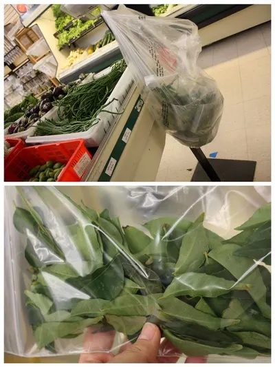 Plastic Leaf Bags by Tianjin Aijiaqi International Trade Co., Ltd.