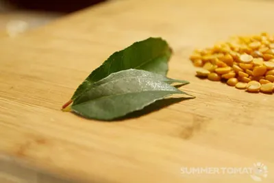 Corn, Soybeans