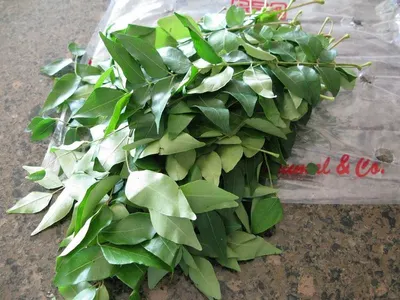 Curry Leaves