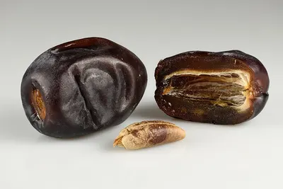Agate : Rough, Slices, Cabs.