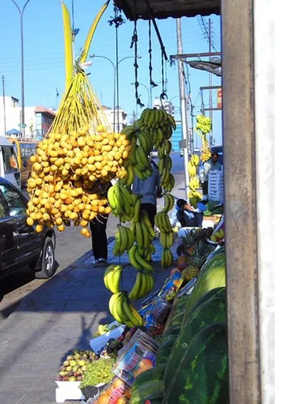 Fresh Mazafati Dates