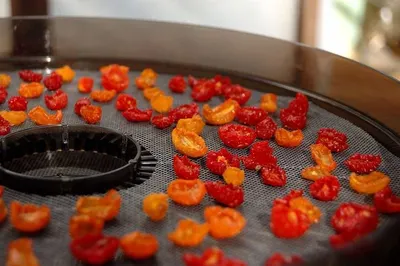 Bhut Jolokia
