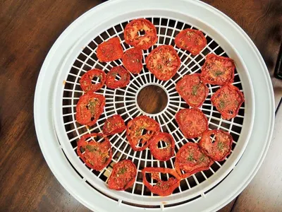 Poultry Automatic Egg Incubator