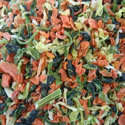 PP/PE Pallet Regrind Mixed Color by 2lians Pte. Ltd.