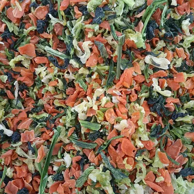LDPE Mix Color Regrind