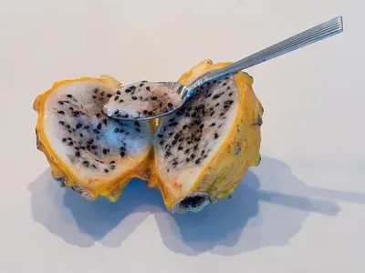 Bird Fruit Fork