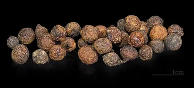 soap nuts shells