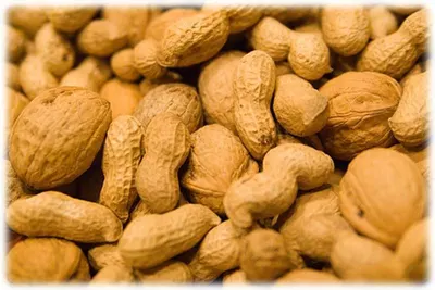 Dry fruit sweets