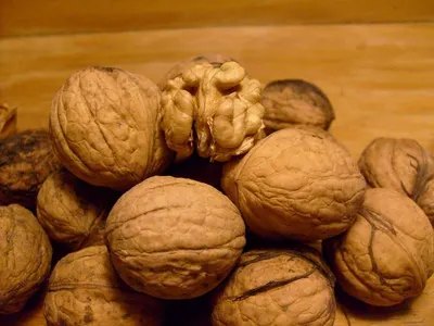 Candlenut