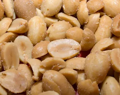 Pine nut kernel