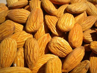 Dry fruit
