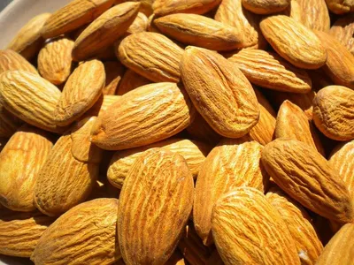 High-Quality Organic Delicious Almonds Nuts