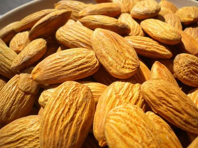Almonds Nut/Top Grade Almond Nuts / Organic Almond Nuts
