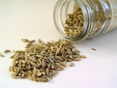 Saunf (Fennel Seeds) by Nitin Export & Trading Company