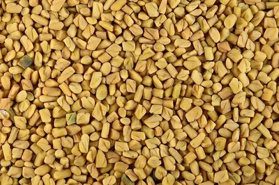 Dried Fenugreek Seeds