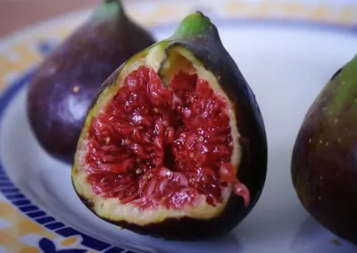 Dried Figs by Blue Lotus Exim Co., Ltd.