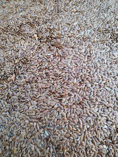 Red Rice