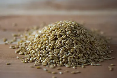 Linseed Golden