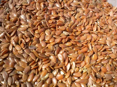 Roasted Seeds